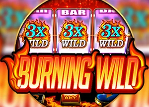 Starlight Princess 1000