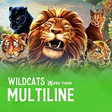 The Dog House - Dog or Alive